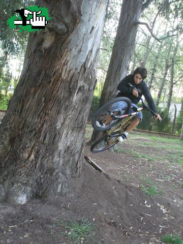 casi....table