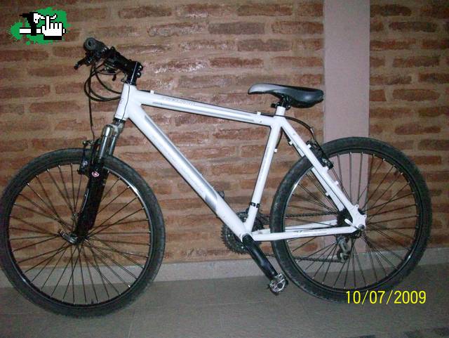 enzo_bike