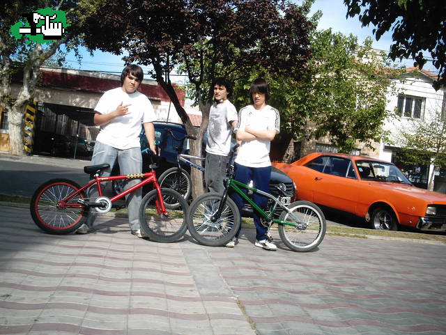 los guachoos!!!
