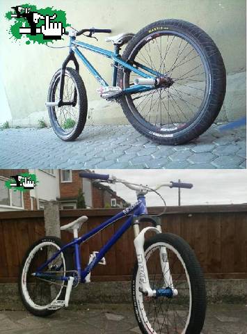 Cual?