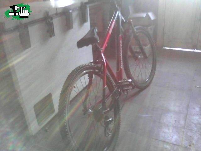 Bike check..