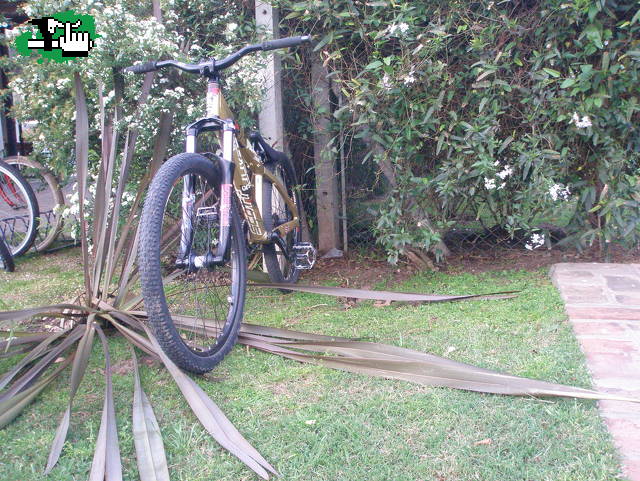 mi bike....