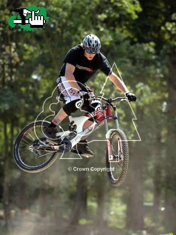 steve peat idolo 