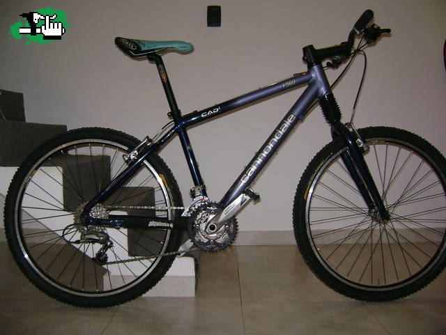 andar por el inta castelar