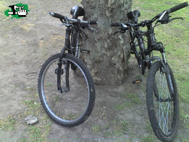 bikes