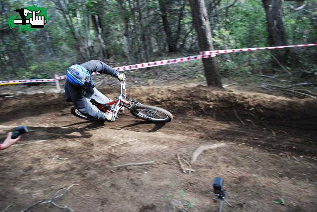 GANDOLFI PEDRO