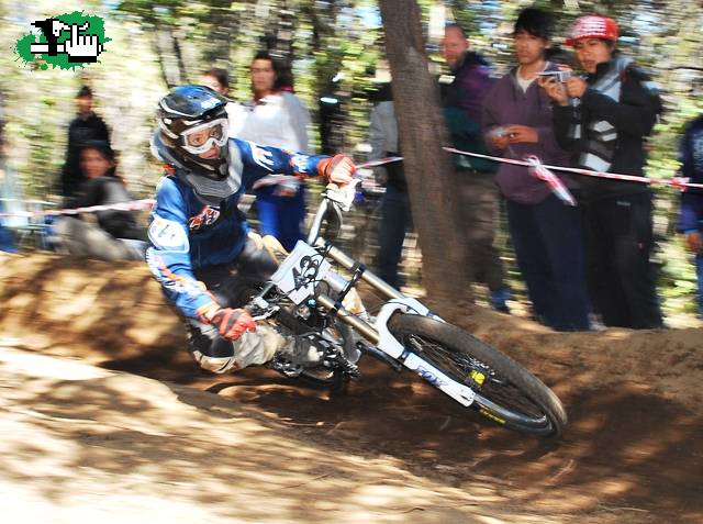 sewald chiquito(13)