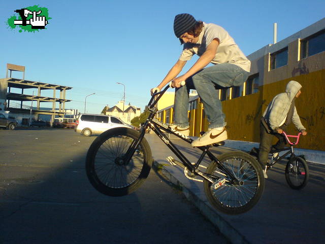 SEBA BUNNI CRANKFLIP DEL CORDON