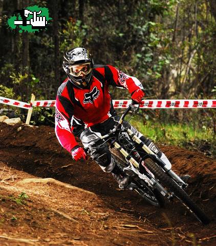 Bolson 2009