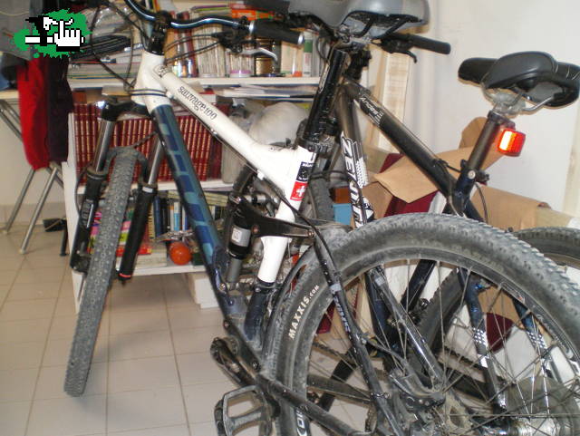 pelado83