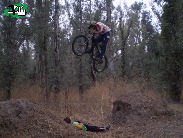 cambria pegando un salto