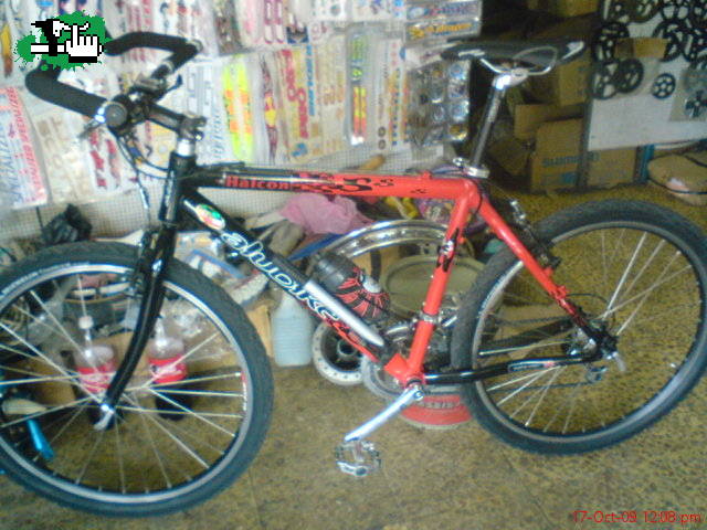 bici mtb o ruta?