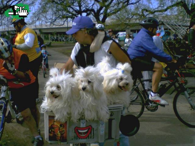 BICICLETEADA EN BUENOS AIRES