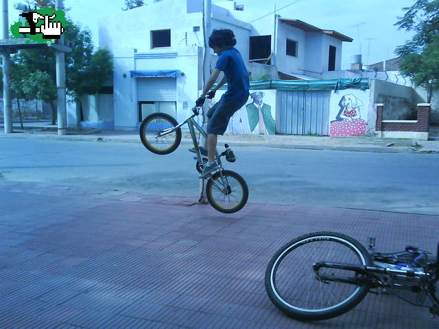 EMPESANDO BUNNY 