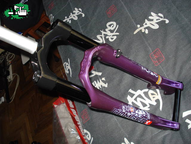 Dj1  2010
