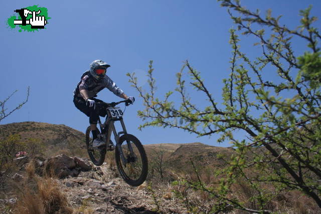 los cocos 09