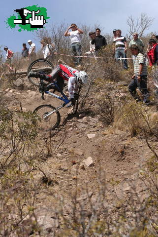 los cocos. free falling !! 09