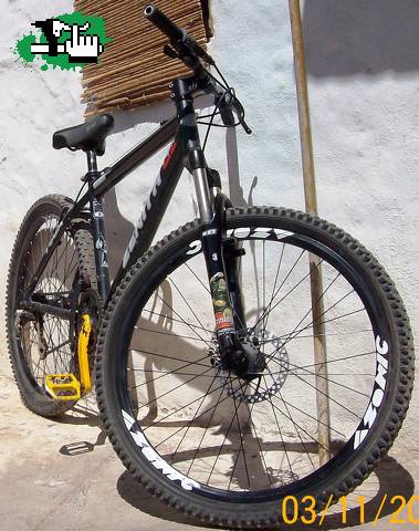 Mi Bebe Zenith"-.