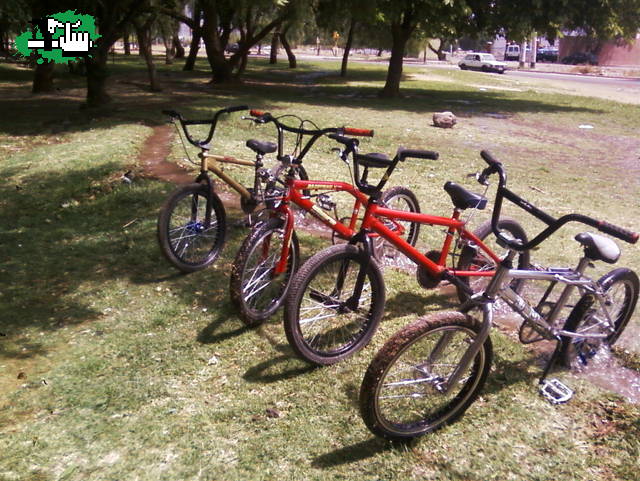 BICIS   ROBADA!!!