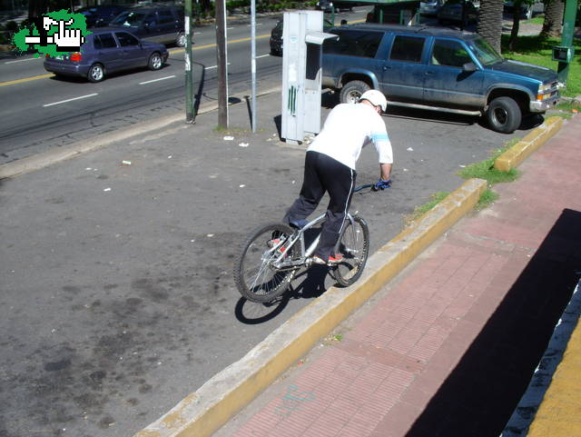 martin