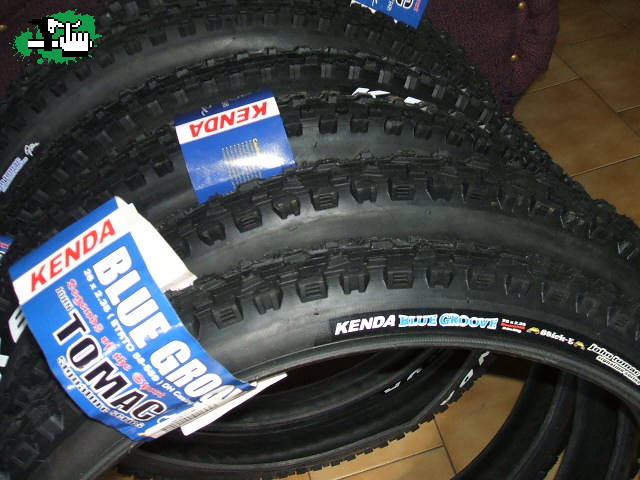 maxxxx