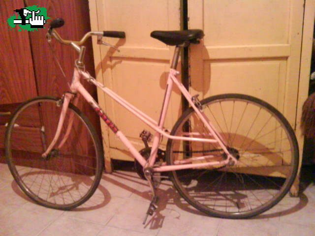 la bike de mi hermana 