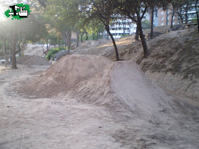 NUEVO DIRTO 