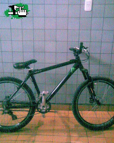 bike check