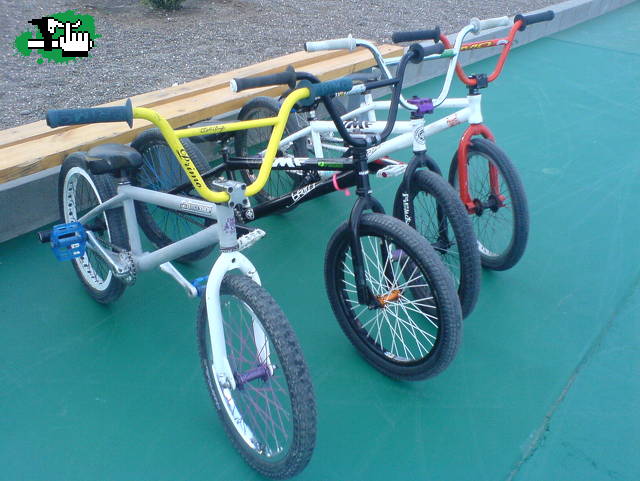 BMX CALETA OLIVIA
