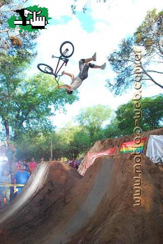 Backfliptailwhip