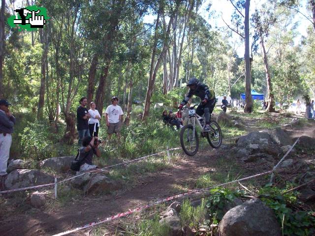 Tandil
