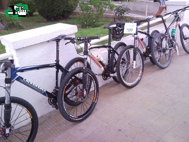 cannondale  TAURINE X  4