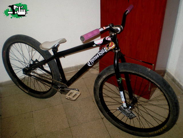 bicicleta chekeada;