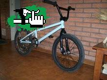 lospibesbmx