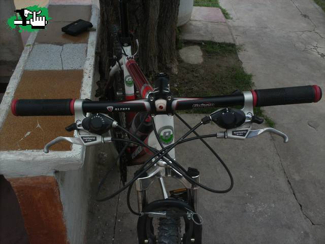 stem y forma nuevos ¿que les parece?