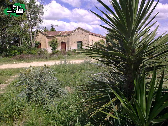 Almacén Nieves