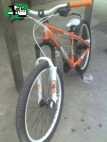 Mi scott 2010