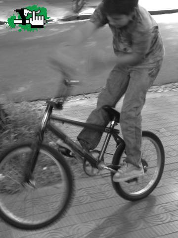 BARSPIN ADRI