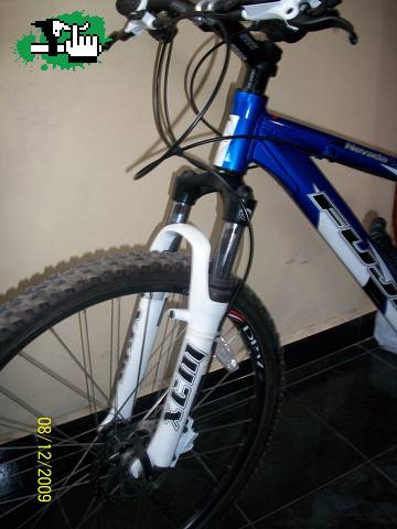 vicen82