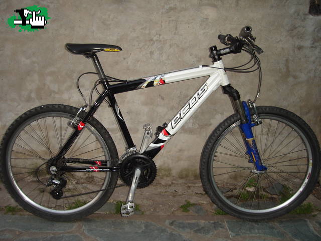 mi ecos ...