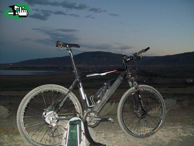 calafate de nochecita