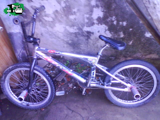 Gt dyno xr 