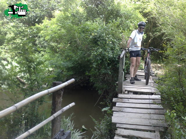 salida a Parana de las Palmas