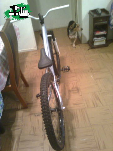 mi nenaaa,
