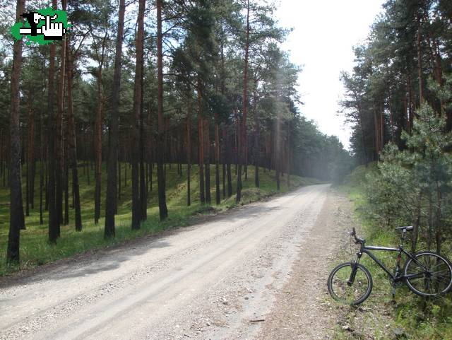 LdP en Polonia....
