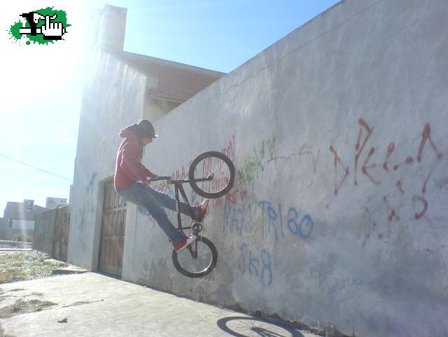 SEBA WALLPLANT.....