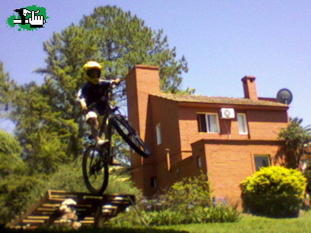 mono jodiendo en su casa