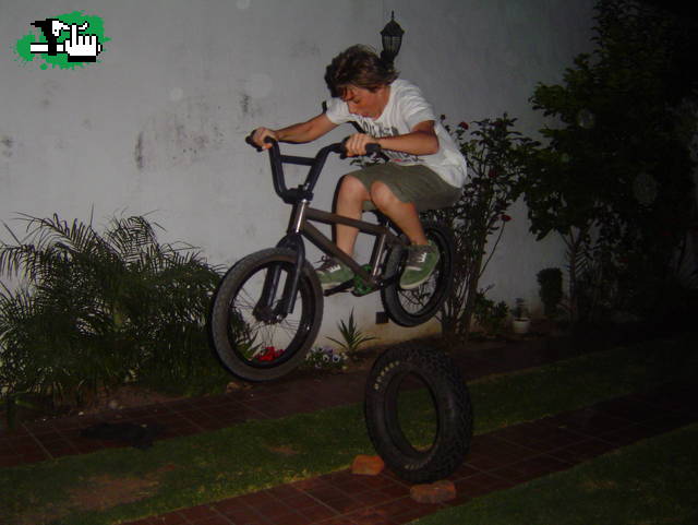 viciando al BUNNY
