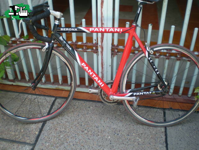 pantani berona 