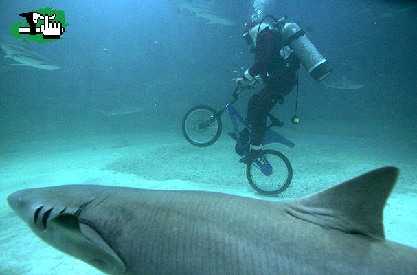 A esto se lo llama andar en bike jajaja
